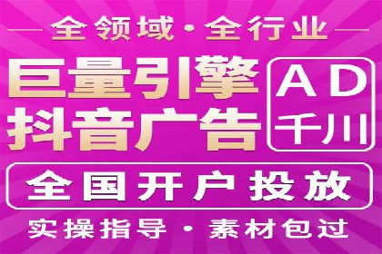 某电商平台的SEM推广策略及效果分析